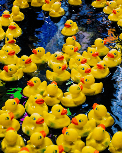Duck Race