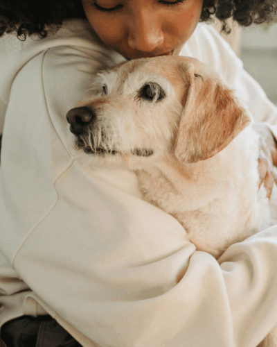 Estate Planning for Pets
