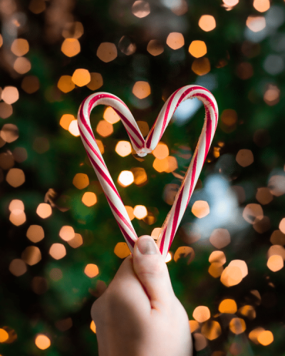 Making Seasons Bright