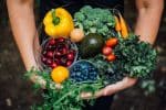 A Good Harvest