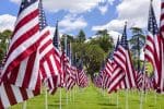 Veteran's Day