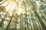 Earth Month