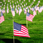 American flags decorate lawn in honor of Veterans Day