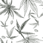 Smoking Joints For Aching…