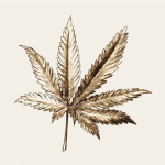 What’s Your Company’s…