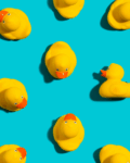 Duck Race