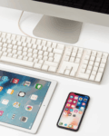 The Digital Afterlife